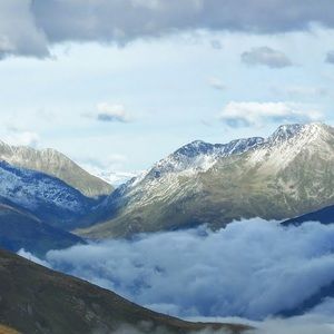 Meet your Posher, Robin